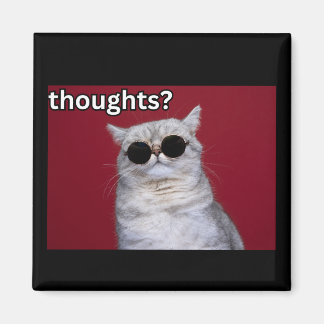 Thoughts? Funny cat sunglasses design Magnet