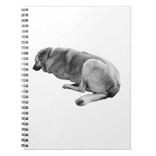 Thoughts Move Slower Notebook