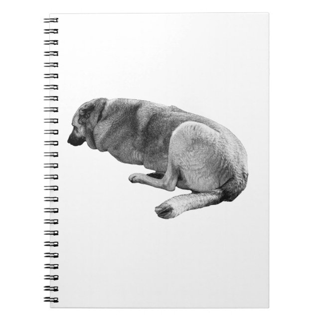 Thoughts Move Slower Notebook (Front)