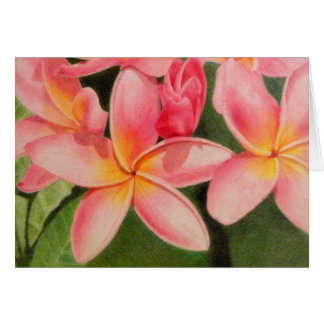 Thoughts of Plumeria