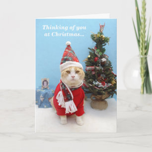Thoughts of You at Christmas Holiday Card