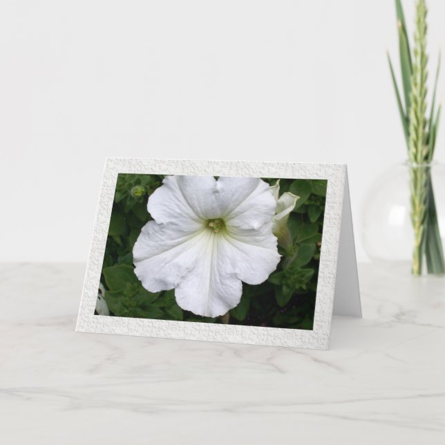 Thoughts of You Petunia Card (Front)