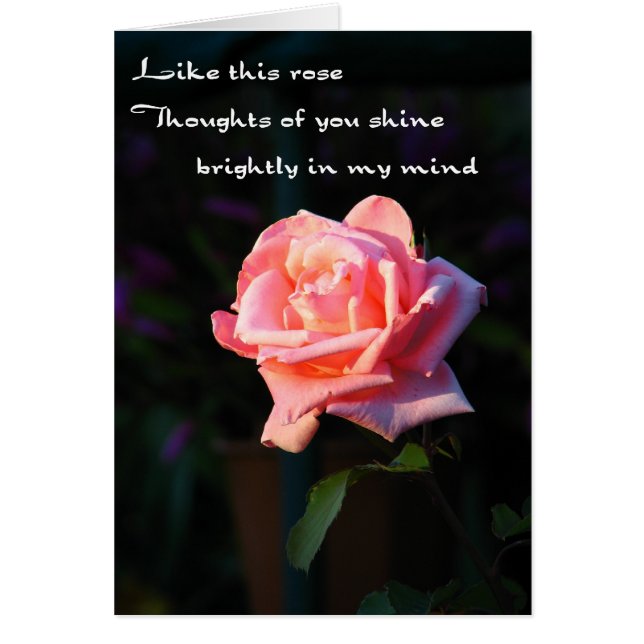 Thoughts Of You Rose (Front)