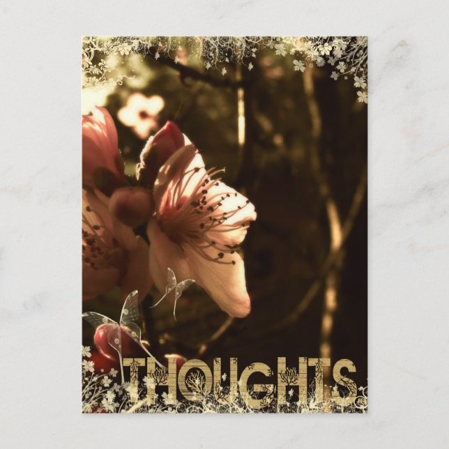 Thoughts Postcard (Front)