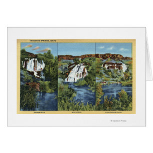 Thousand Springs, ID - Juniper, Wing, and Minnie