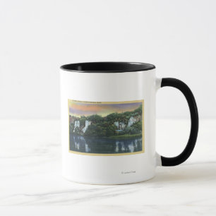 Thousand Springs, IDQuartette Falls View Mug