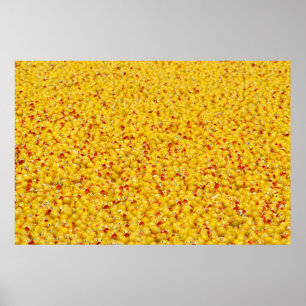 Thousands of ducks  poster