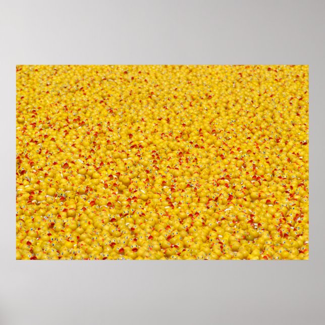 Thousands of ducks  poster (Front)