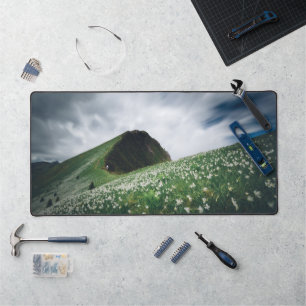 Thousands of narcissus on Golica, Slovenia Desk Mat