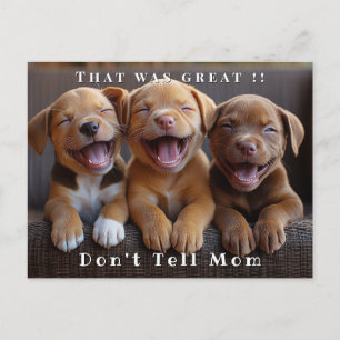 Three Adorable Funny Laughing Puppies Postcard