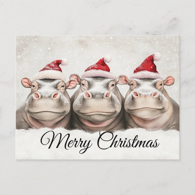 Three Adorable Hippos Holiday Postcard (Front)