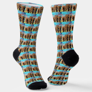 Three African Elephants, Crew Socks