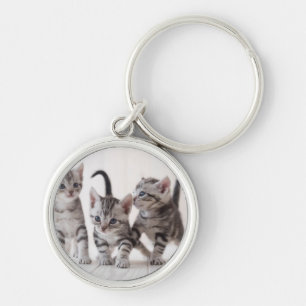 Three American Shorthair Playing Key Ring