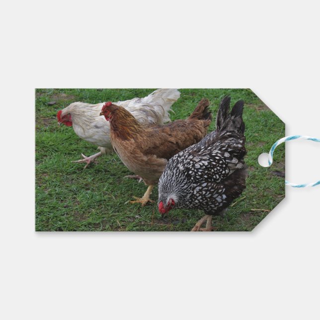 Three Amigos Gift Tags (Front (Horizontal))