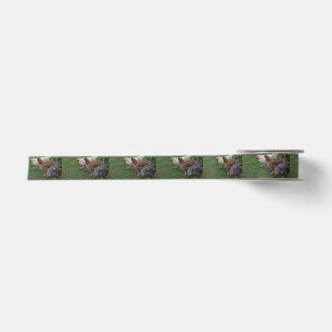 Three Amigos Satin Ribbon