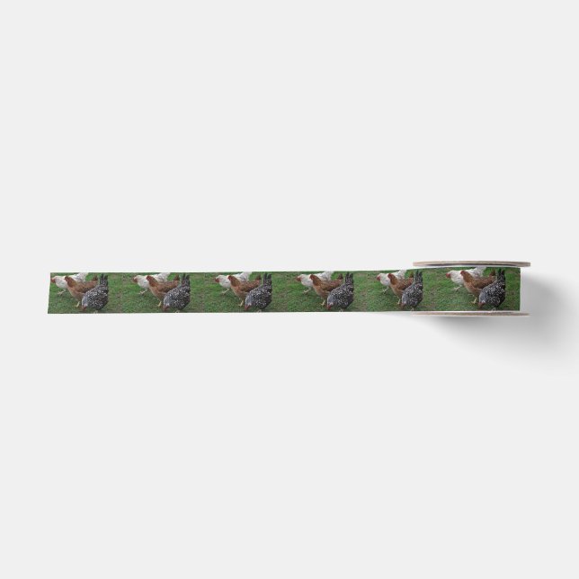 Three Amigos Satin Ribbon (Front)
