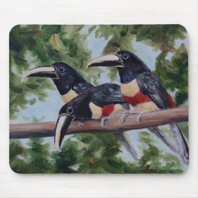 Three Amigo's Toucan Mousepad (Front)