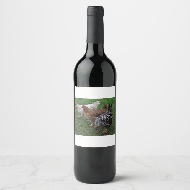 Three Amigos Wine Label (Front)