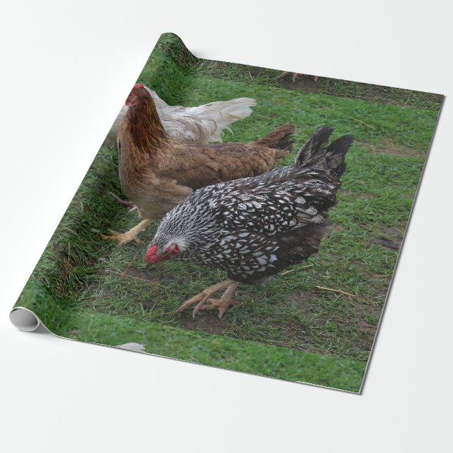 Three Amigos Wrapping Paper (Unrolled)