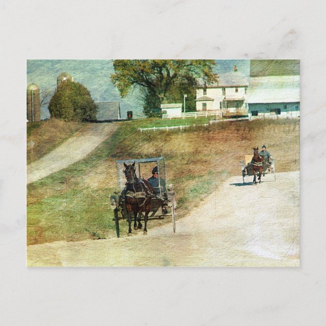 Three Amish Buggies Postcard (Front)