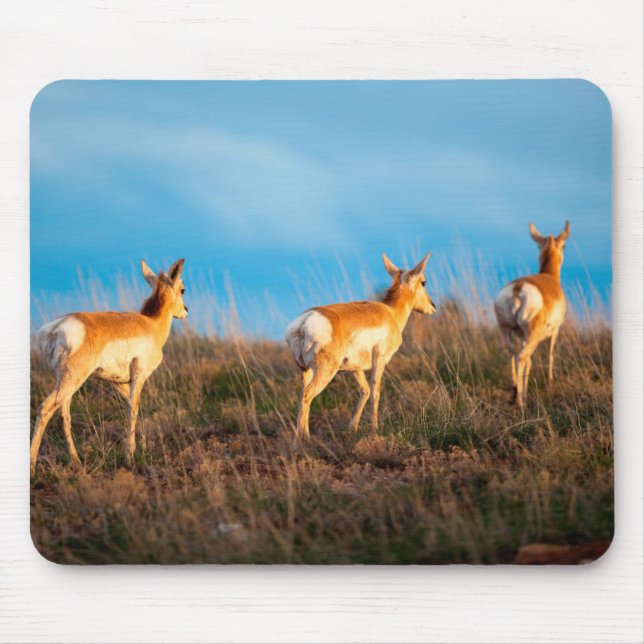 Three antelope walking away at sunset mouse mat (Front)
