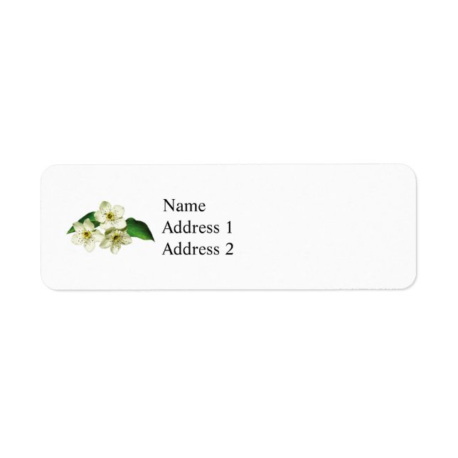 Three Apple Blossoms (Front)