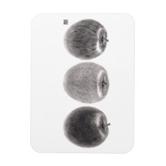 Three Apples Side Magnet