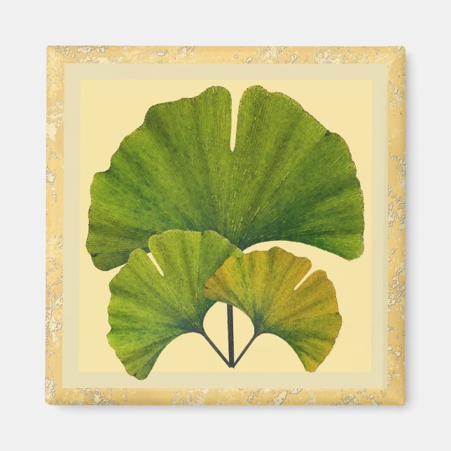 Three Arts and Crafts Ginkgo Leaves Magnet (Front)