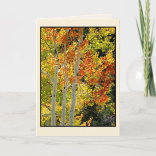 Three Aspen in Autumn, Blank Greeting Card