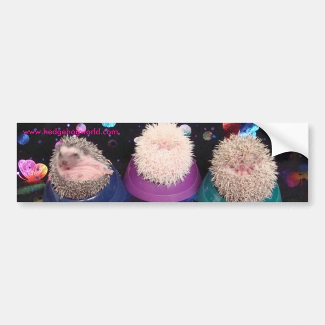 Three babies bumper sticker (Front)