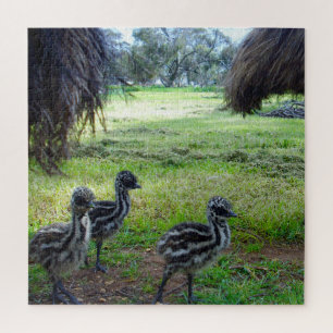 Three Baby Emu Chicks, Jigsaw Puzzle
