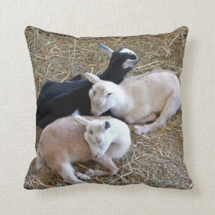 Three Baby Goats Cushion