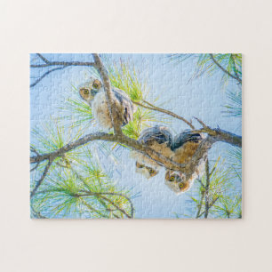 Three Baby Great Horned Owls Wildlife Photography Jigsaw Puzzle