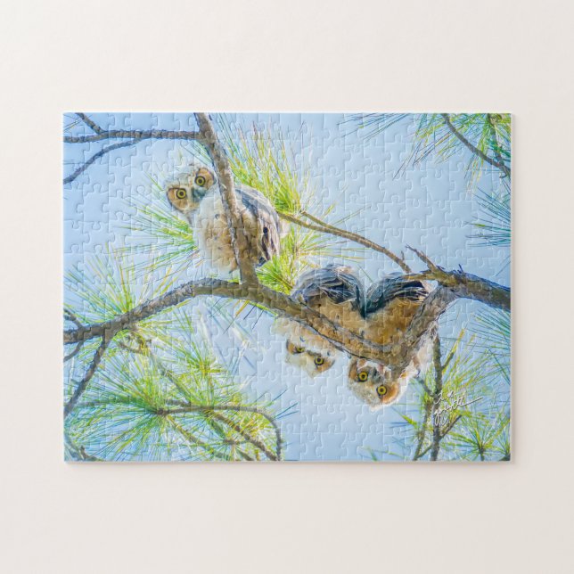 Three Baby Great Horned Owls Wildlife Photography Jigsaw Puzzle (Horizontal)