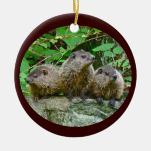 Three Baby Groundhogs Ceramic Tree Decoration