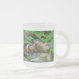 Three Baby Groundhogs Frosted Glass Coffee Mug