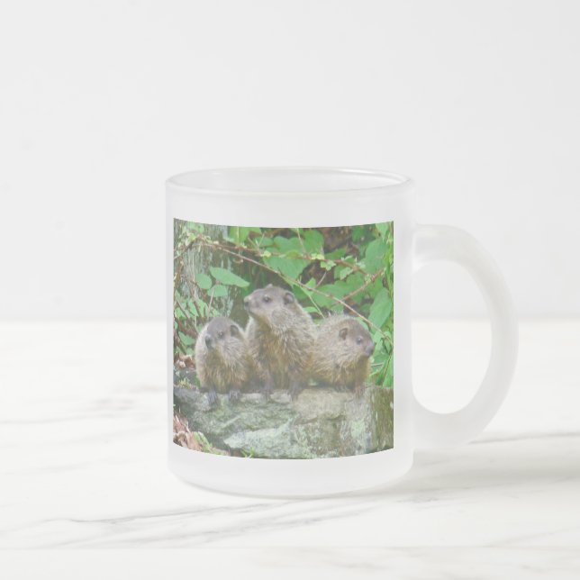 Three Baby Groundhogs Frosted Glass Coffee Mug (Right)