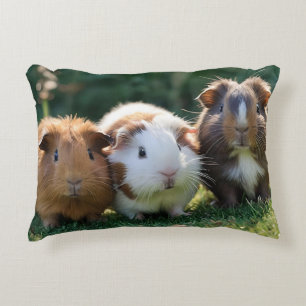 Three Baby Guinea Pigs, Decorative Cushion