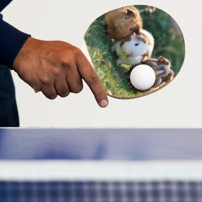 Three Baby Guinea Pigs, Ping Pong Paddle (Insitu)