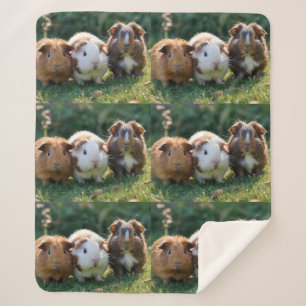 Three Baby Guinea Pigs, Sherpa Blanket