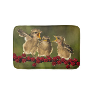 Three Baby Lanius Schach Birds Bath Mat