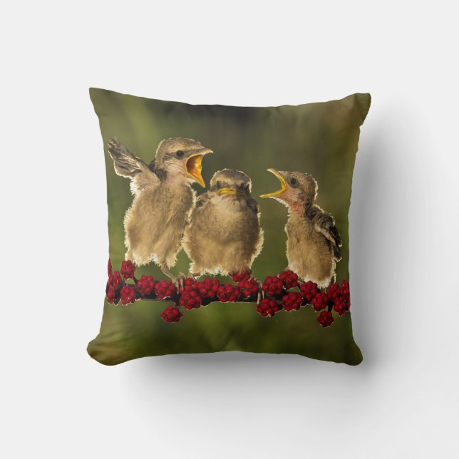 Three Baby Lanius Schach Birds Cushion (Front)