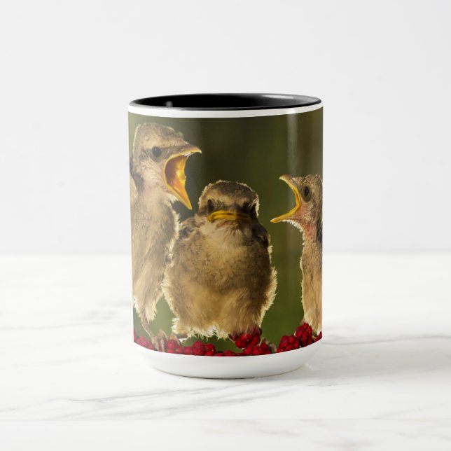 Three Baby Lanius Schach Birds Mug (Center)