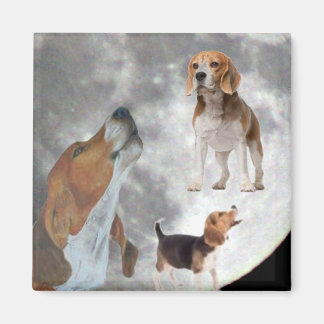 Three Beagles and the Moon Magnet