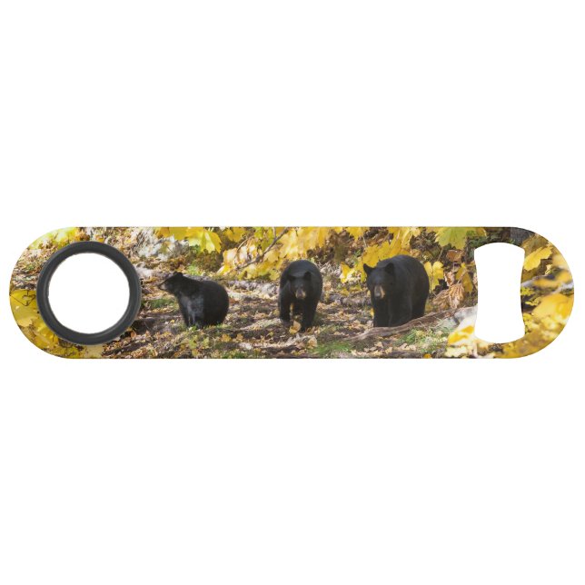 Three Bears (Front (Horizontal))