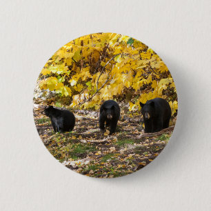 Three Bears 6 Cm Round Badge
