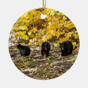 Three Bears Ceramic Tree Decoration