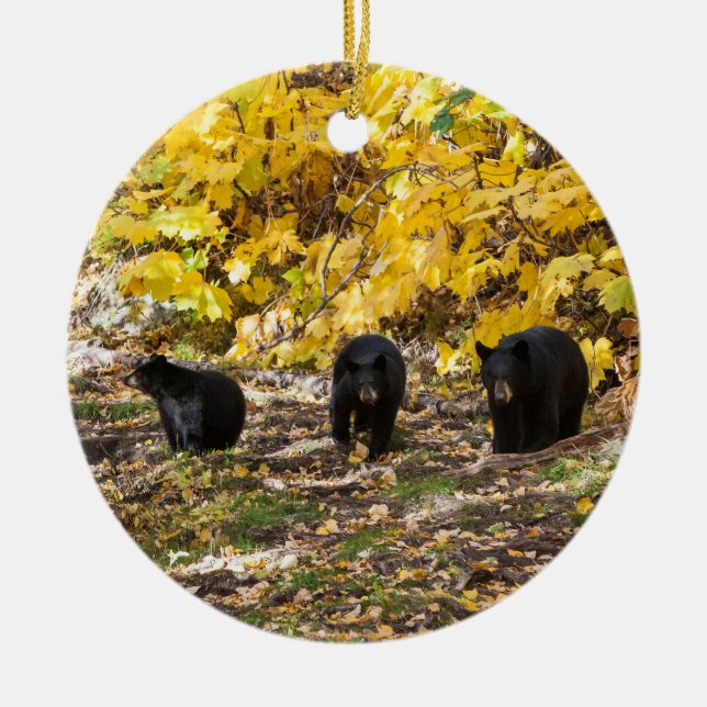 Three Bears Ceramic Tree Decoration (Front)