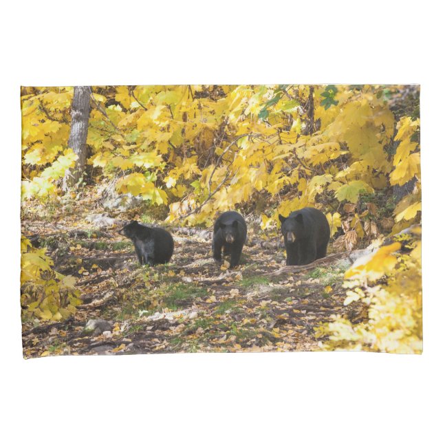 Three Bears Pillowcase (Front-Right)