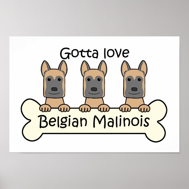 Three Belgian Malinois Poster (Front)